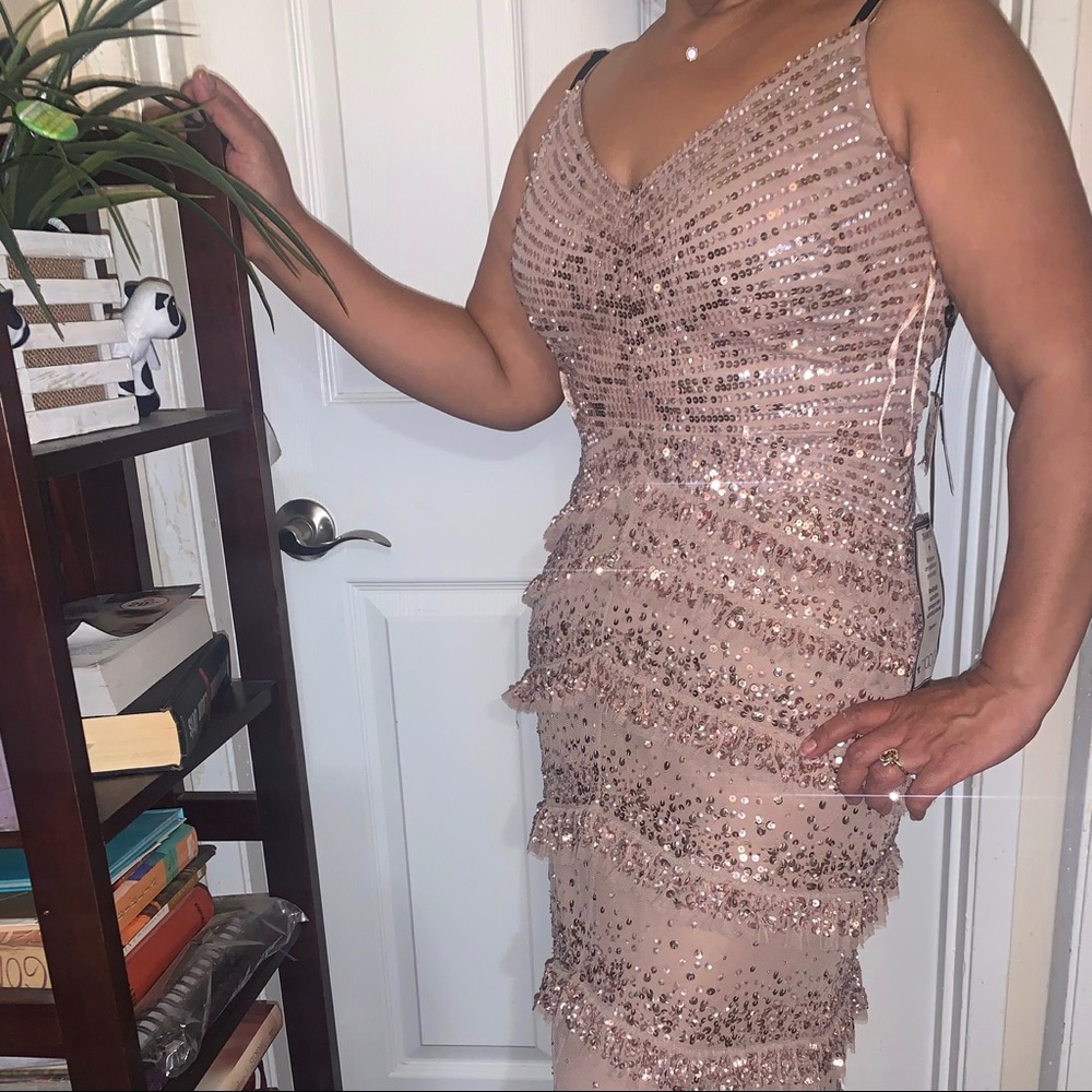 Adrianna Papell Beautiful Rose Dress